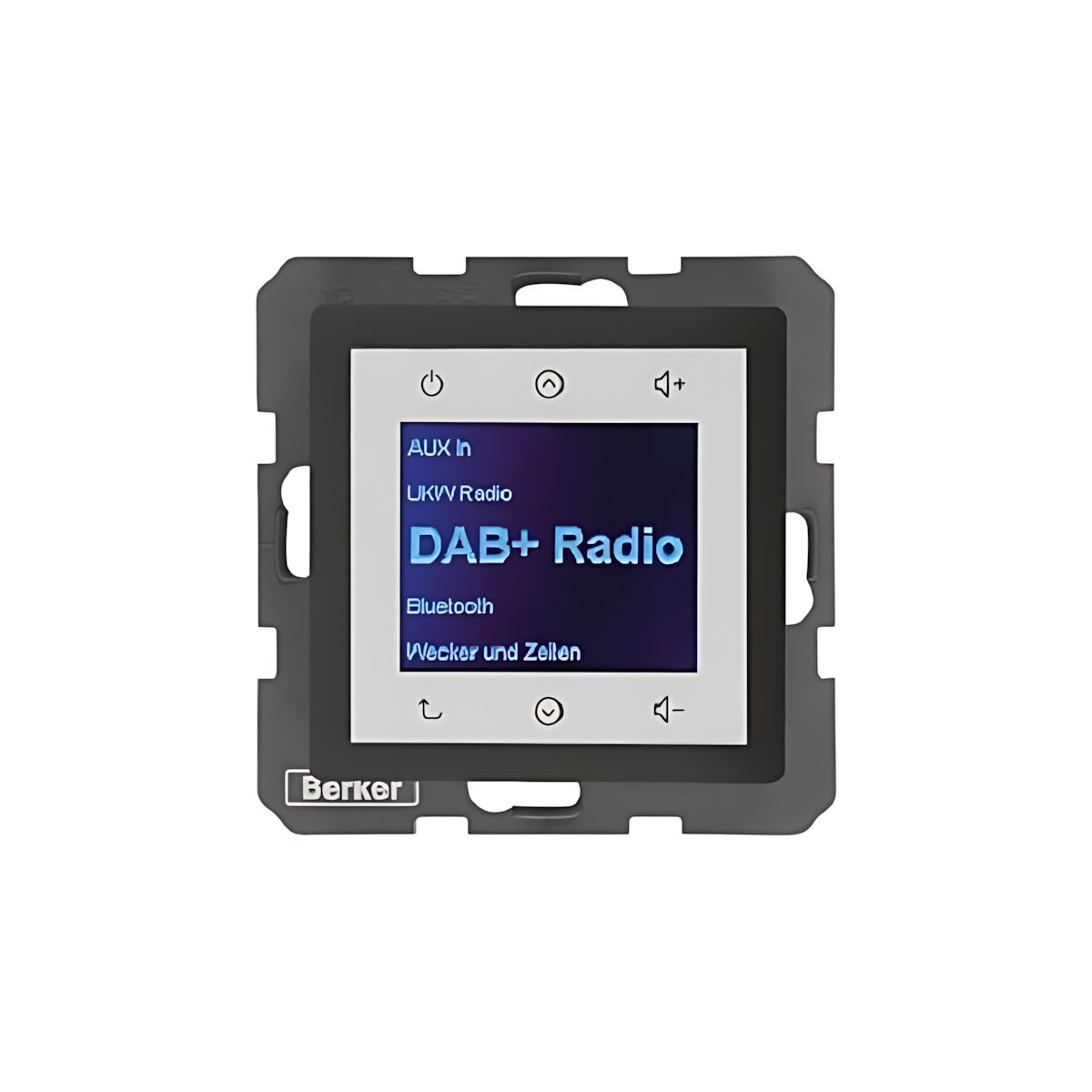 Berker Radio Touch 29846086