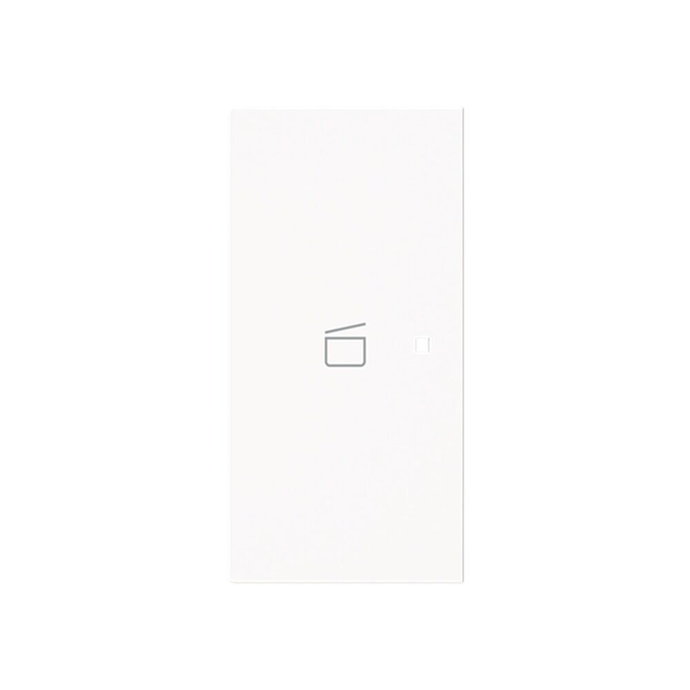 Busch-Jaeger Wippe 6233-21-44G Typ 2CKA006220A0968