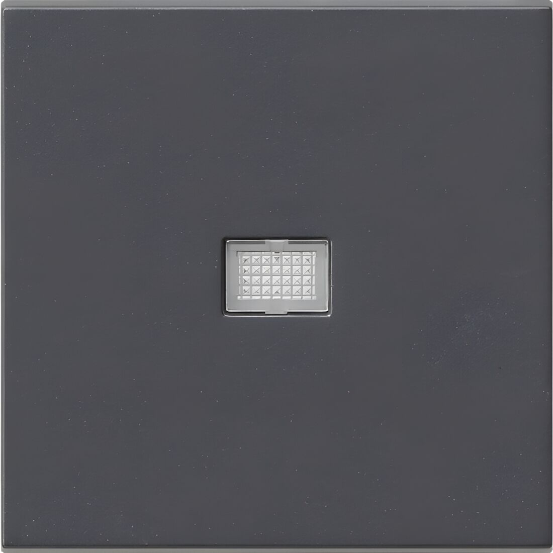 Gira Wippe Kontroll-Fenster 029828