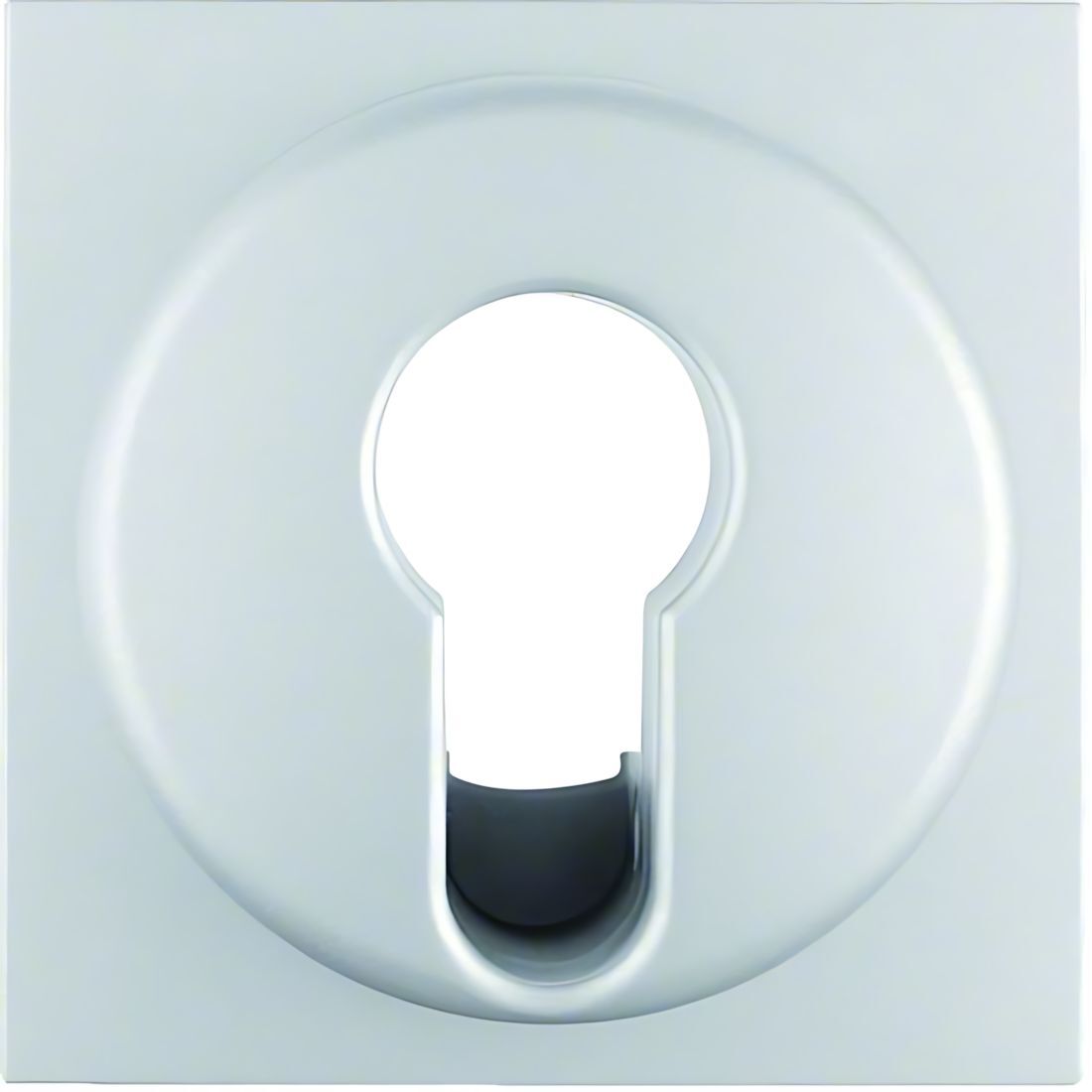 Berker Zentralstück 15071404