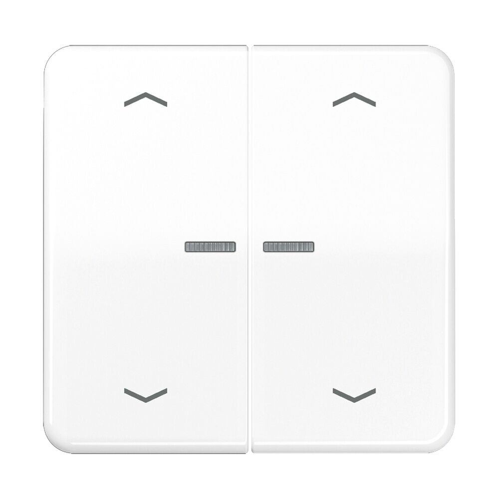 Jung Serienwippe m. Lichtleiter CD102KO5PWW