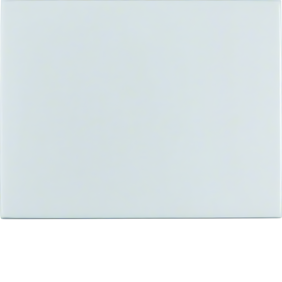 Berker Wippe 14057003 