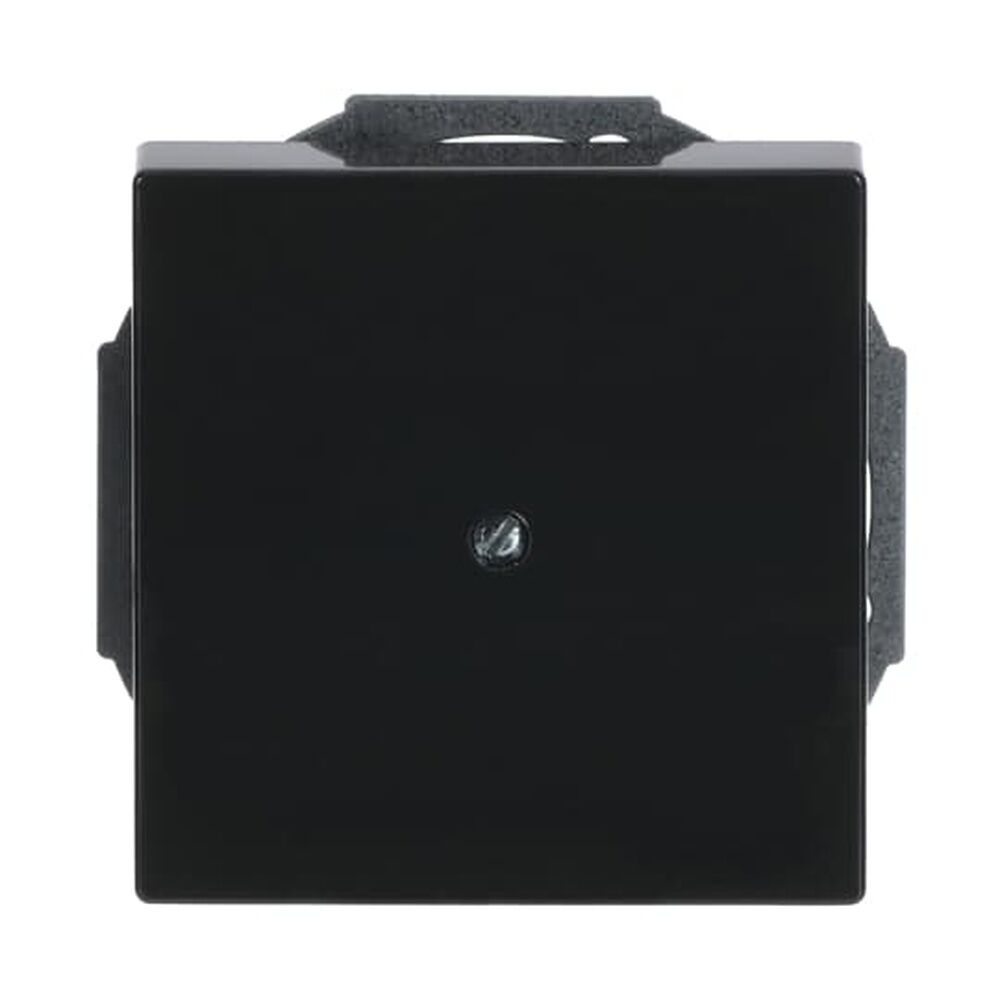 Busch-Jaeger Zentralscheibe 1749-81 Nr. 2CKA001710A3614