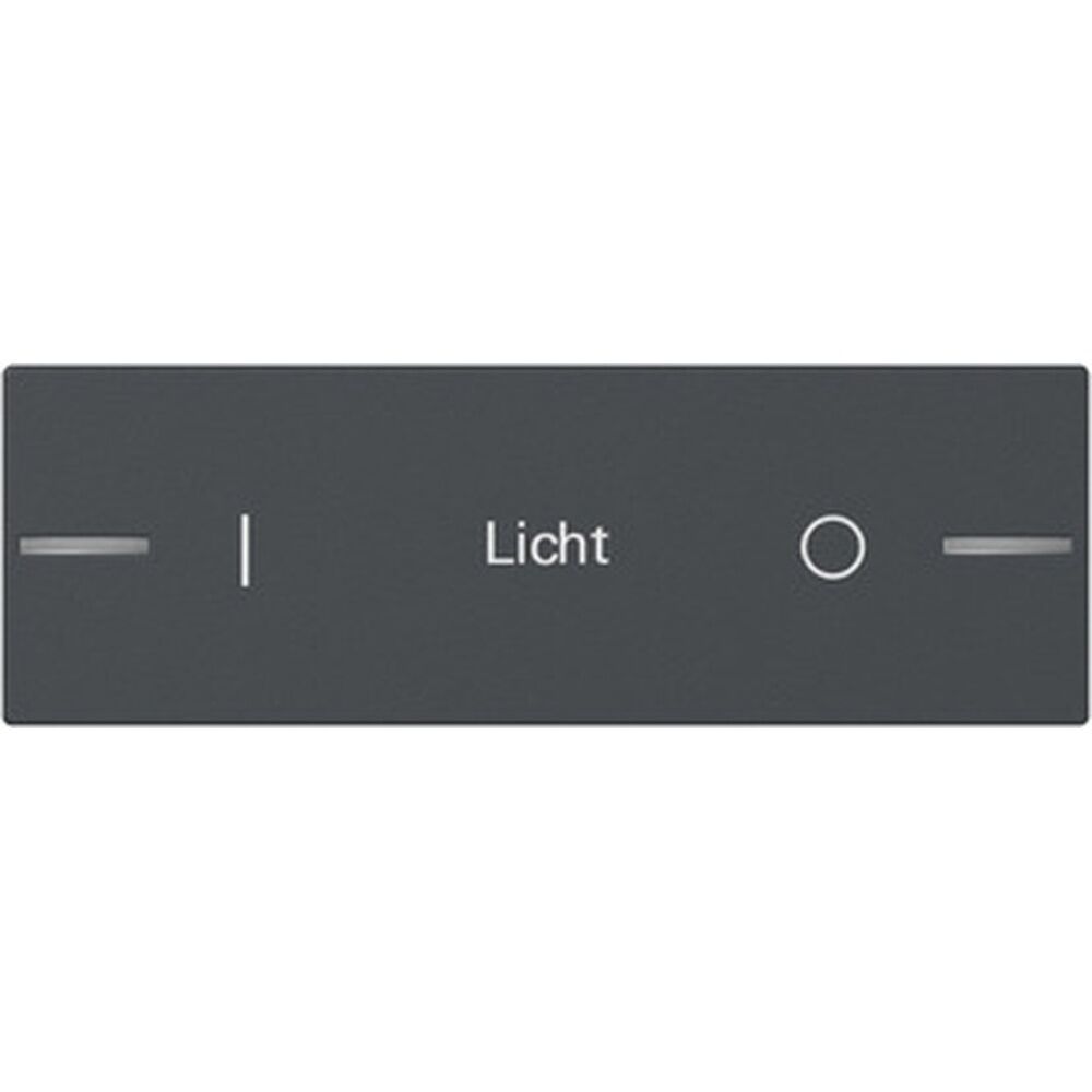 Gira Wippe für Wippenset 862328