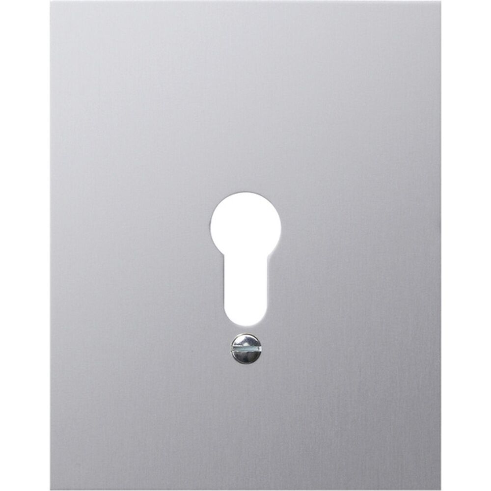 Gira Abdeckrahmen 009830 