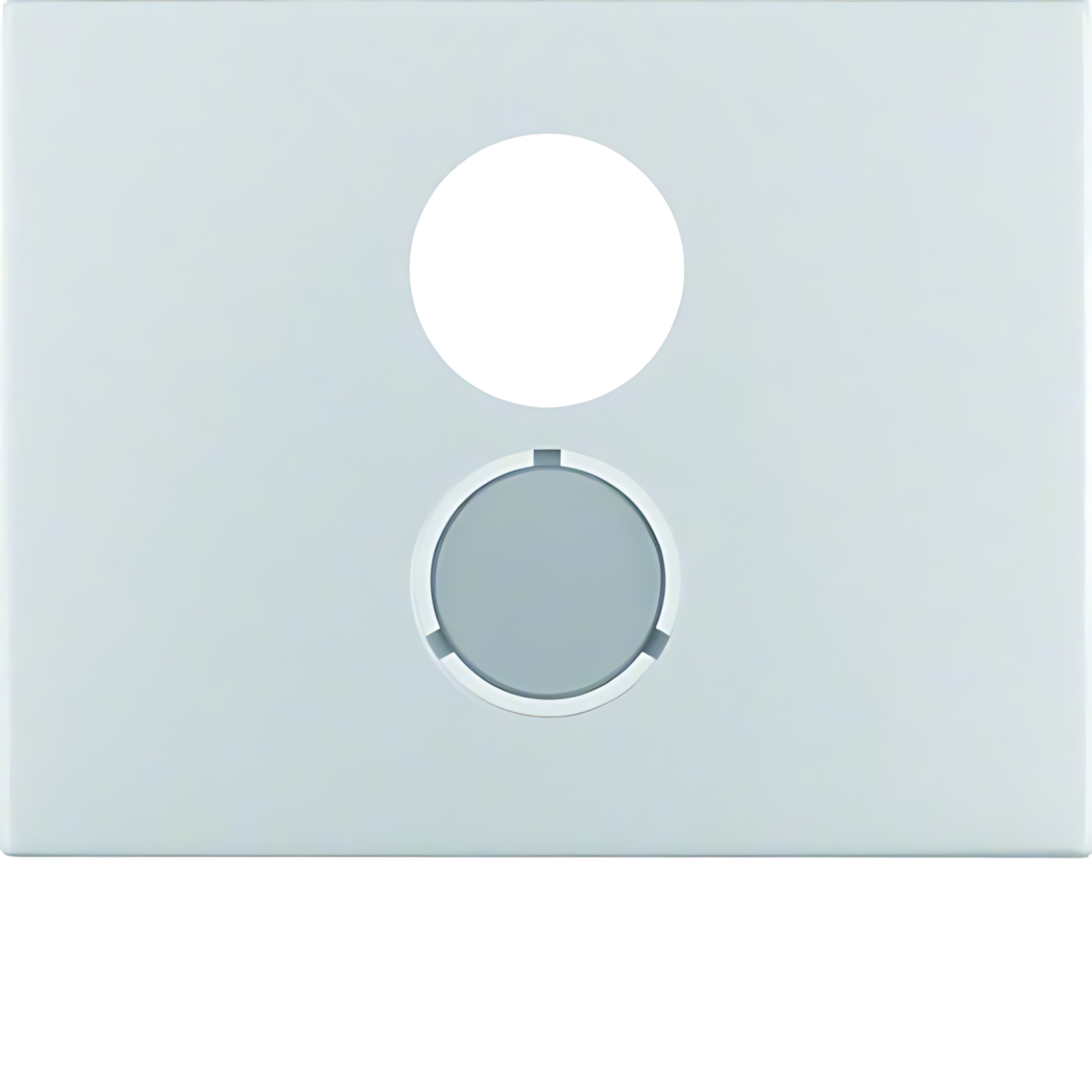 Berker Zentralstück 11847003