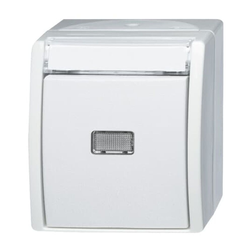 Busch-Jaeger Wipptaster 2621 WN-54-201 Nr. 2CKA001484A0378