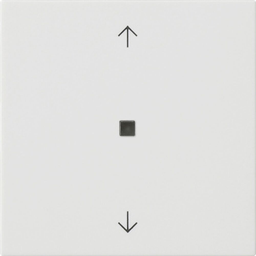 Gira Bedienaufsatz BT 538227