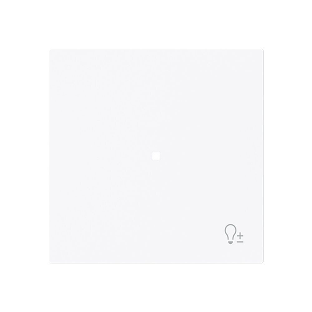 Busch-Jaeger Wippe 6234-10-44G Typ 2CKA006220A0932 