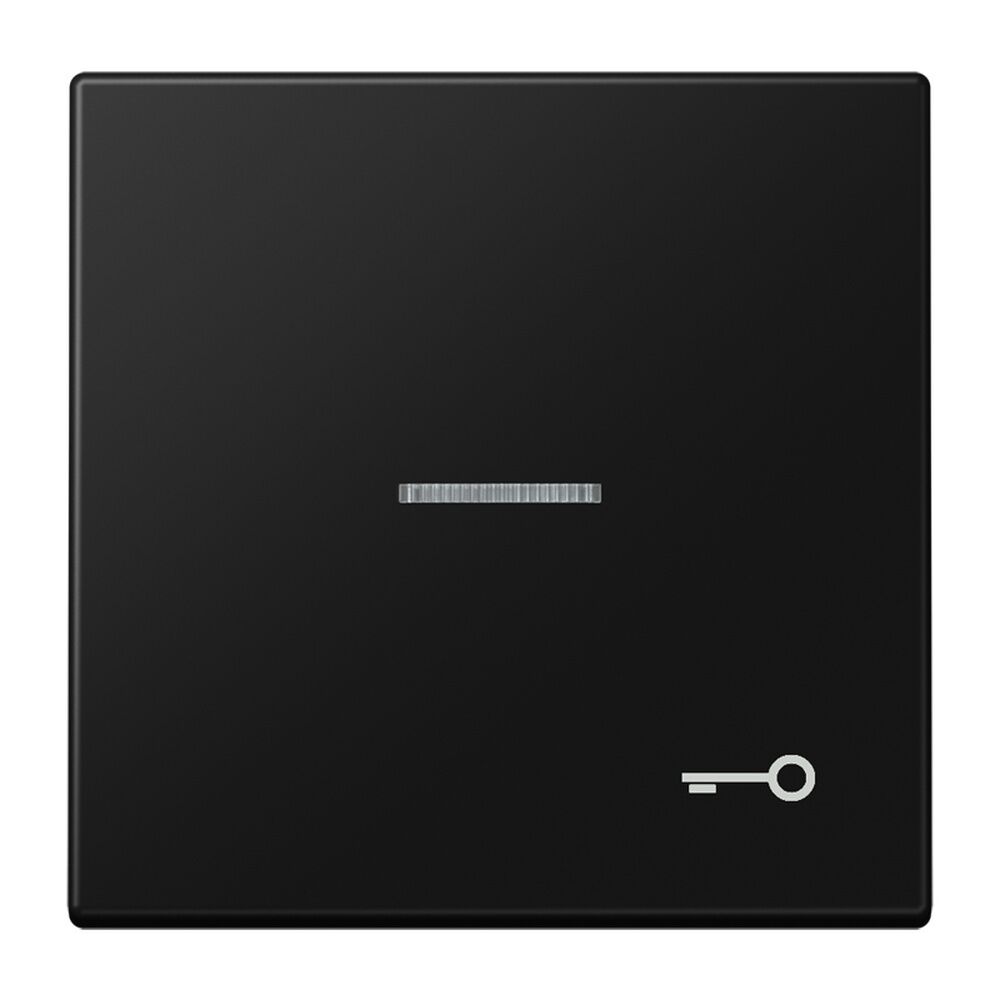 Jung Wippe m. Lichtleiter LS990KO5TSWM