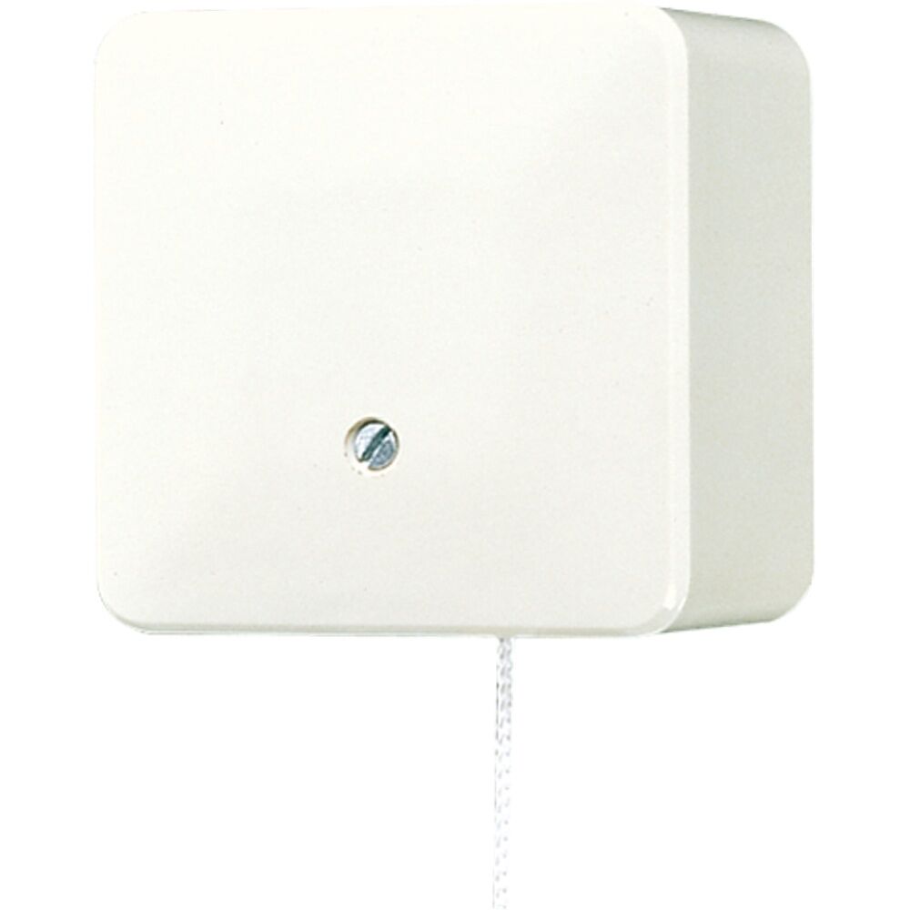 Jung Zug Wechselschalter 606 ZA