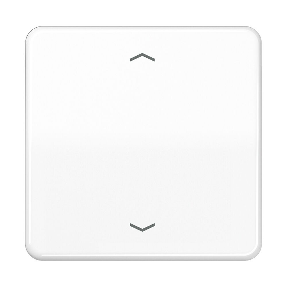 Jung Steuertaste CD1700PWW