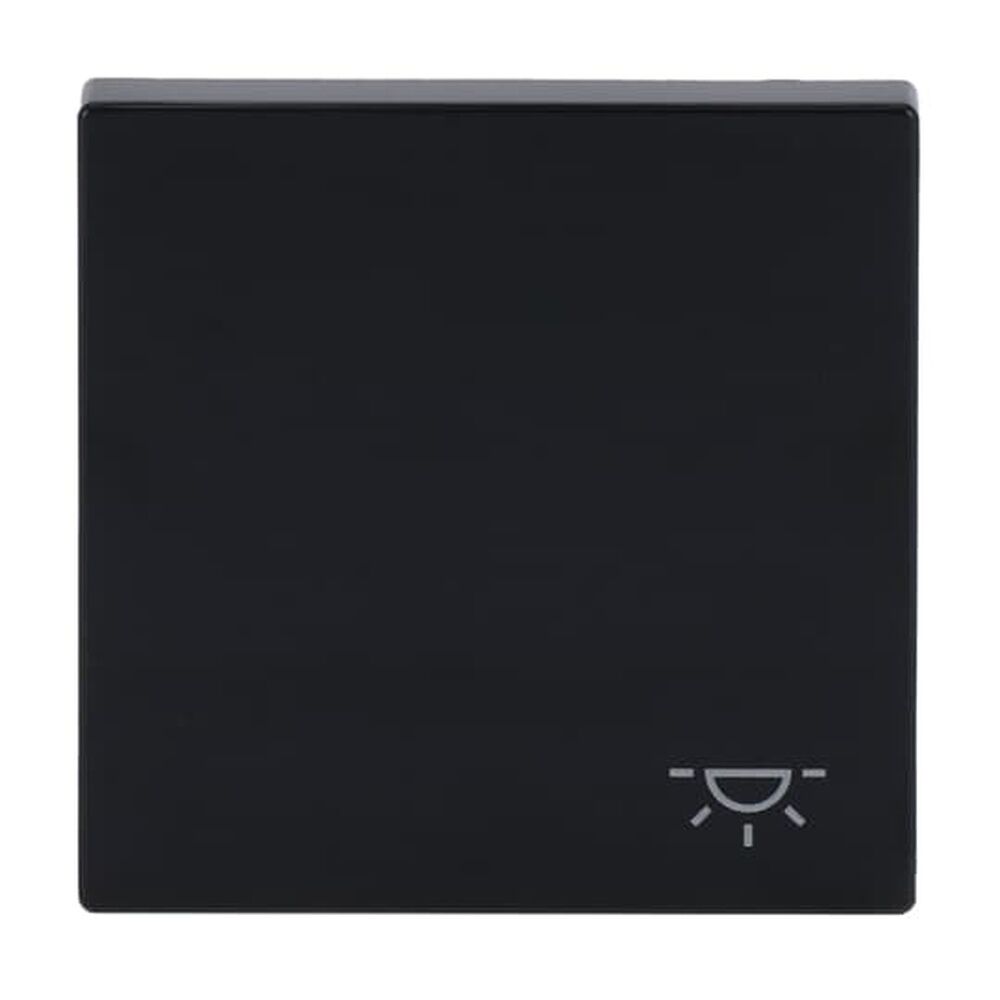 Busch-Jaeger Wippe 2520 LI-81 Nr. 2CKA001751A3186