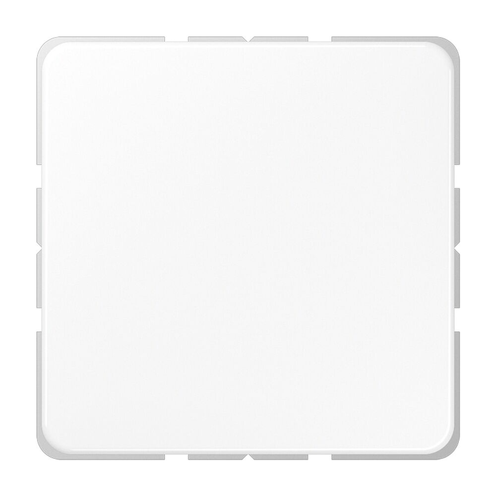 Jung Blindabdeckung CD 594-0 WW