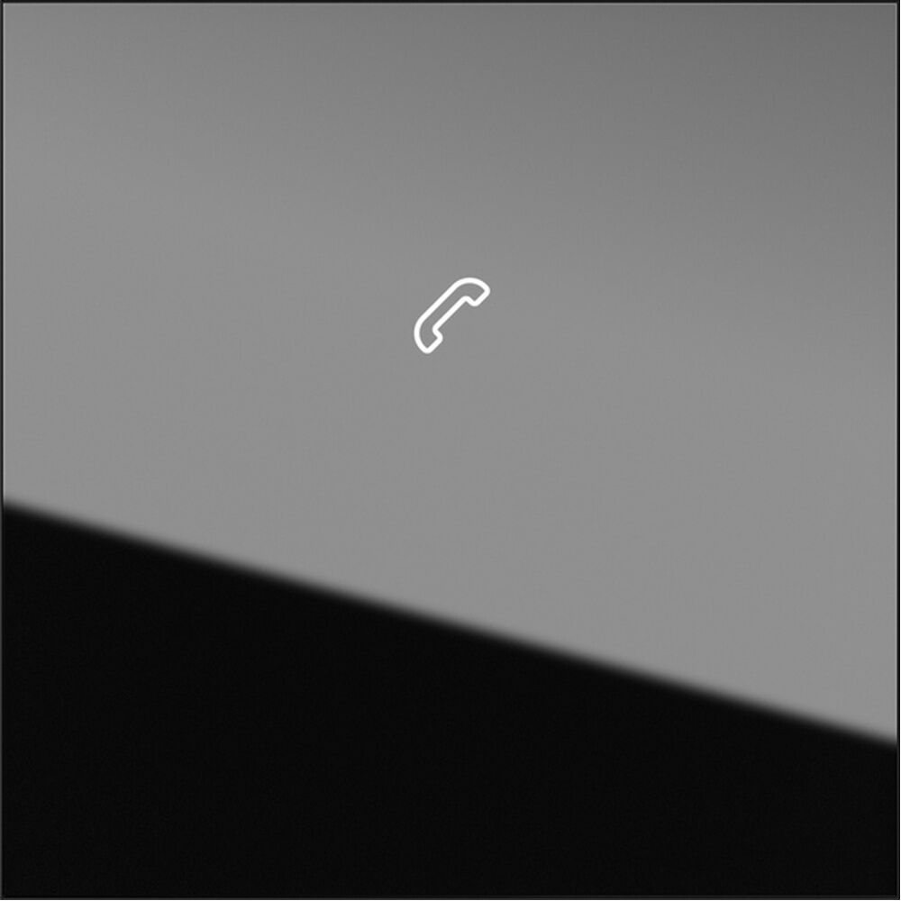 Gira Anzeigemodul 5567000