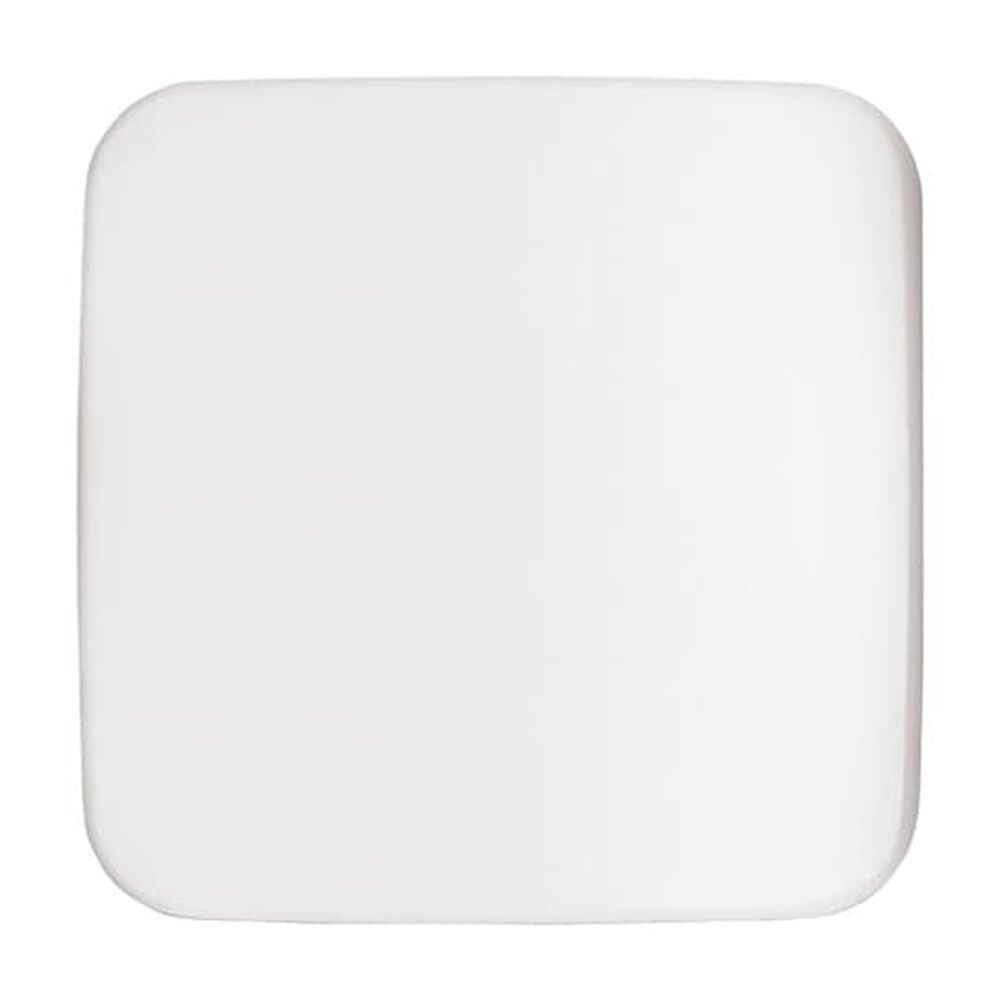 Busch-Jaeger Zentralscheibe 1790-580-214 Nr. 2CKA001710A2900 