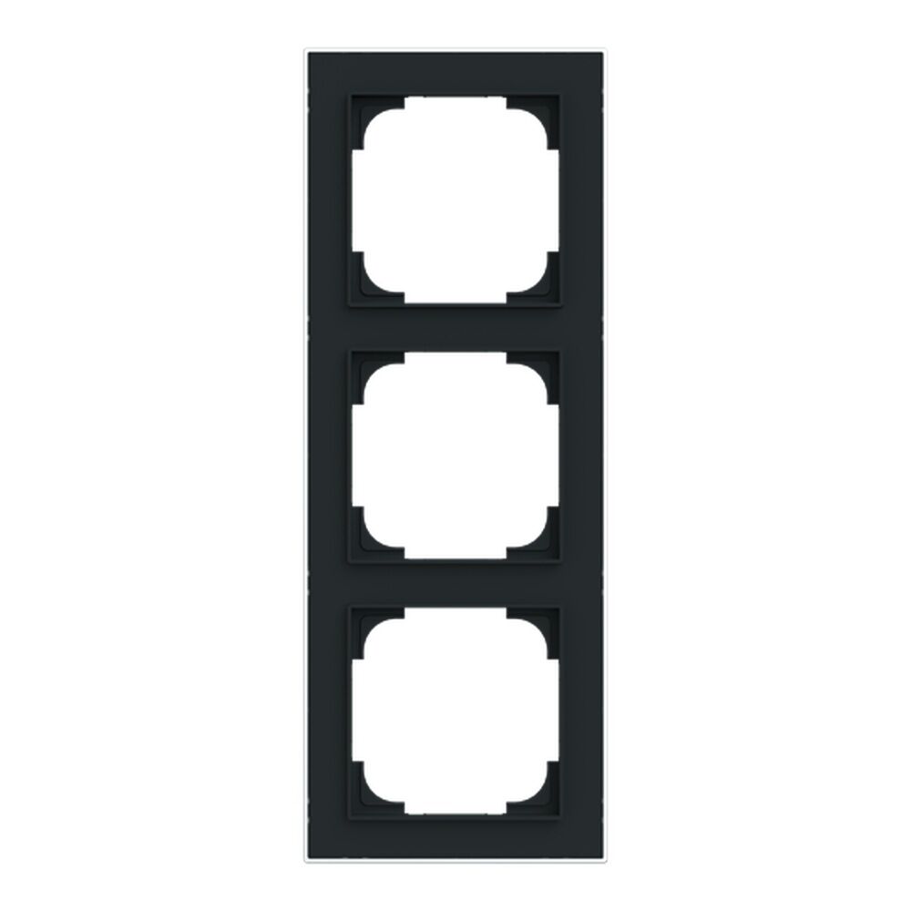 Busch-Jäger Rahmen 1723-456M Nr. 2CKA001754A4916