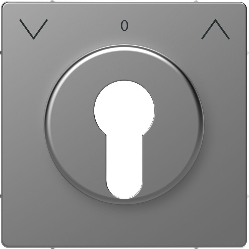 Merten Zentralplatte MEG3883-6036