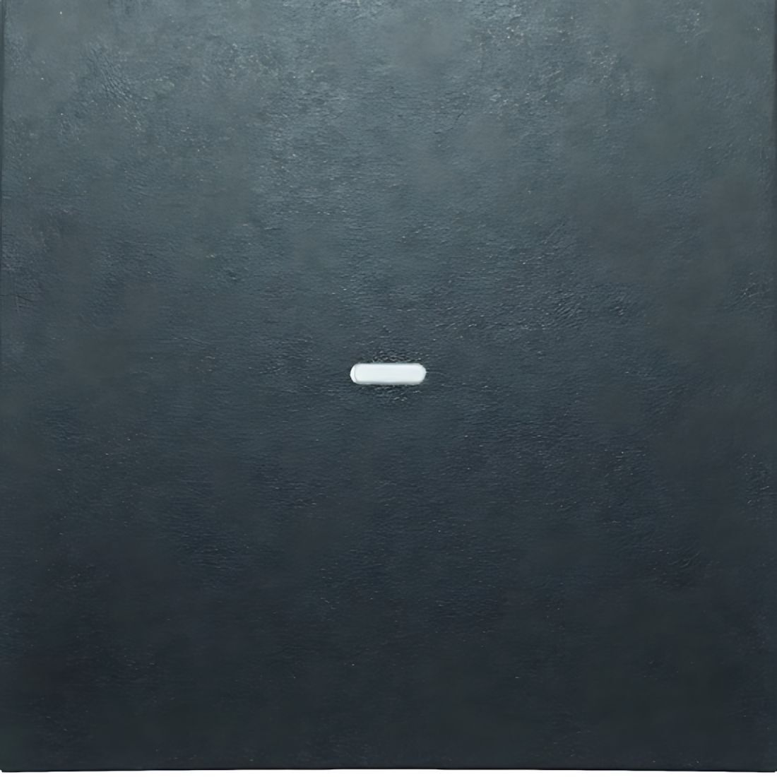 Berker Abdeckung 80960285