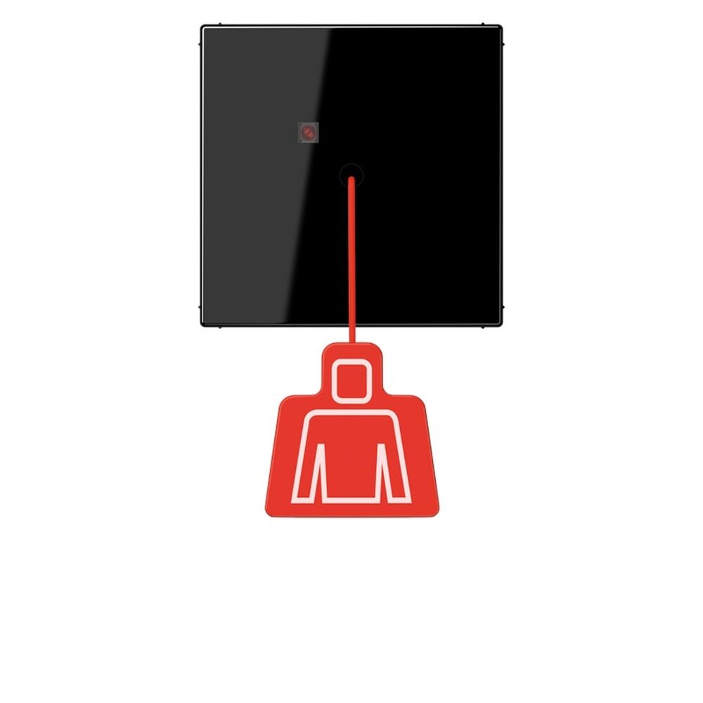 Jung Zugtaster NRS LS 0834 ZT SW