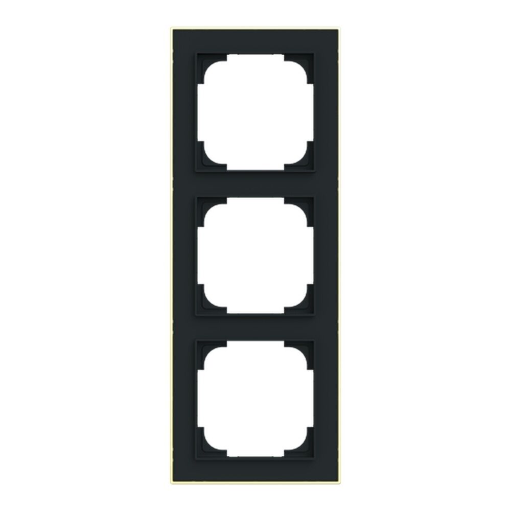Busch-Jäger Rahmen 1723-453M Nr. 2CKA001754A4915