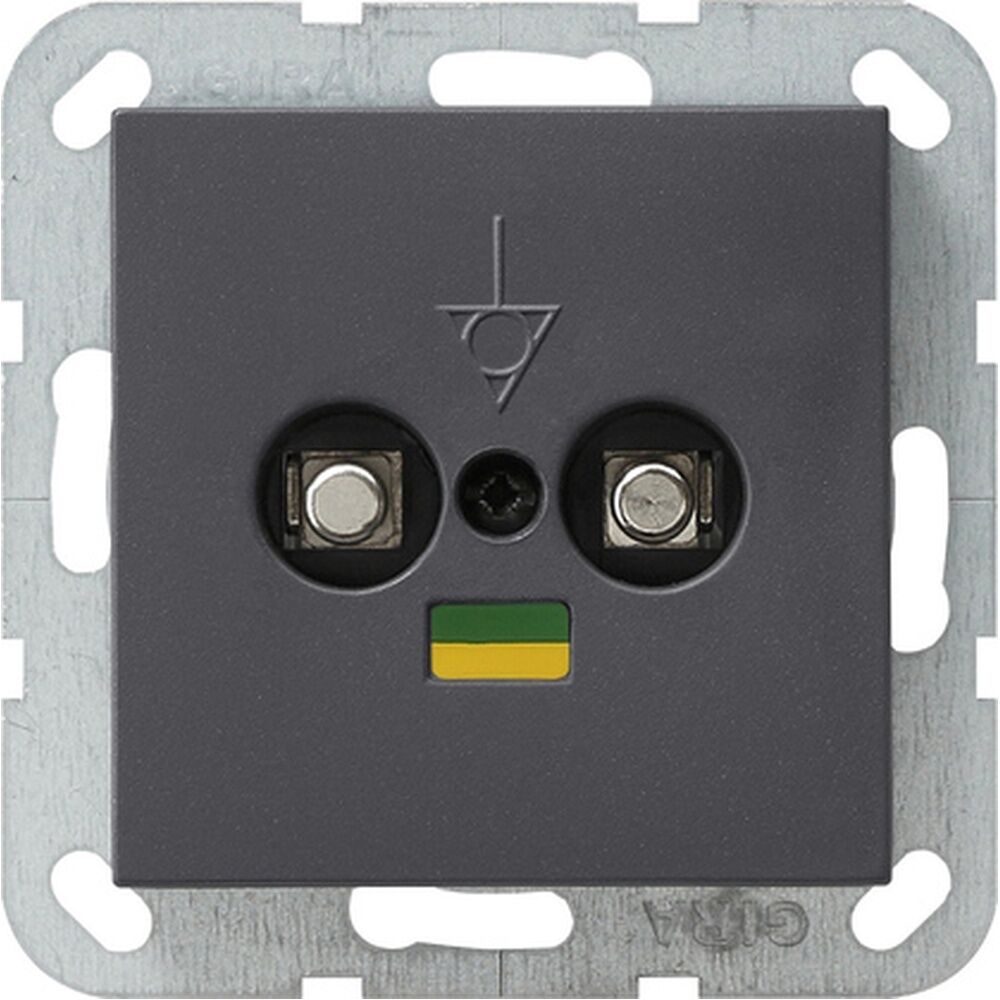 Gira Potentialausgleich 2fach 040528