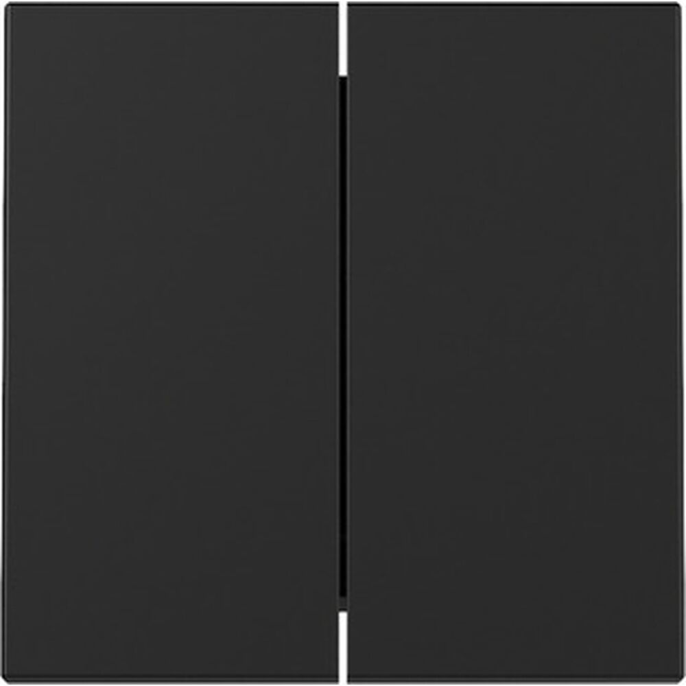 Gira Wippe 2fach 3295005