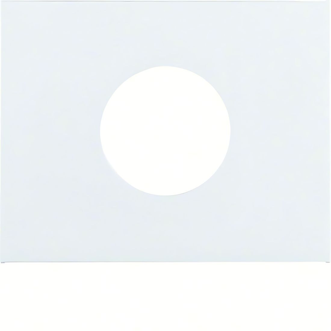 Berker Zentralstück 11657009 