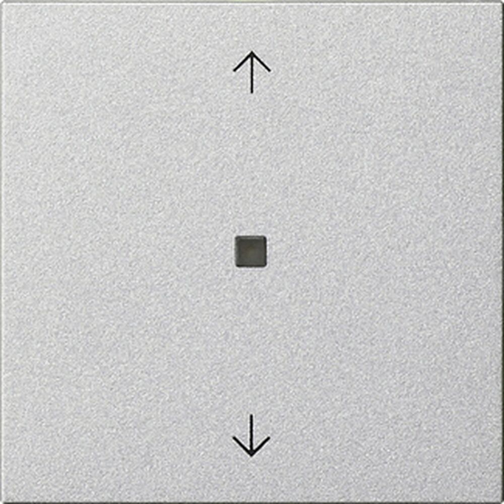 Gira Bedienaufsatz BT 538226