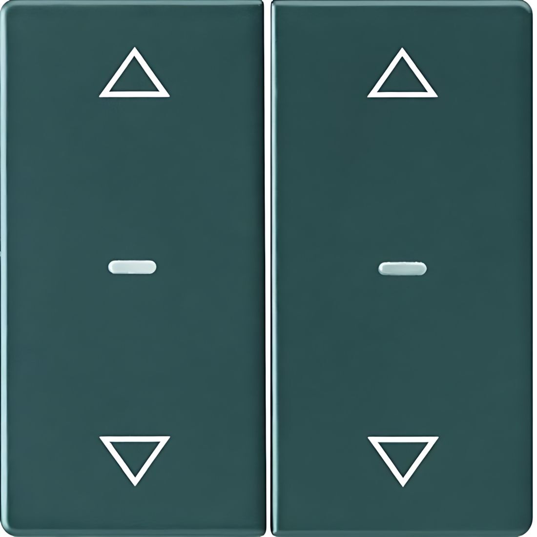 Berker Tastsensor Abdeckung 80961326