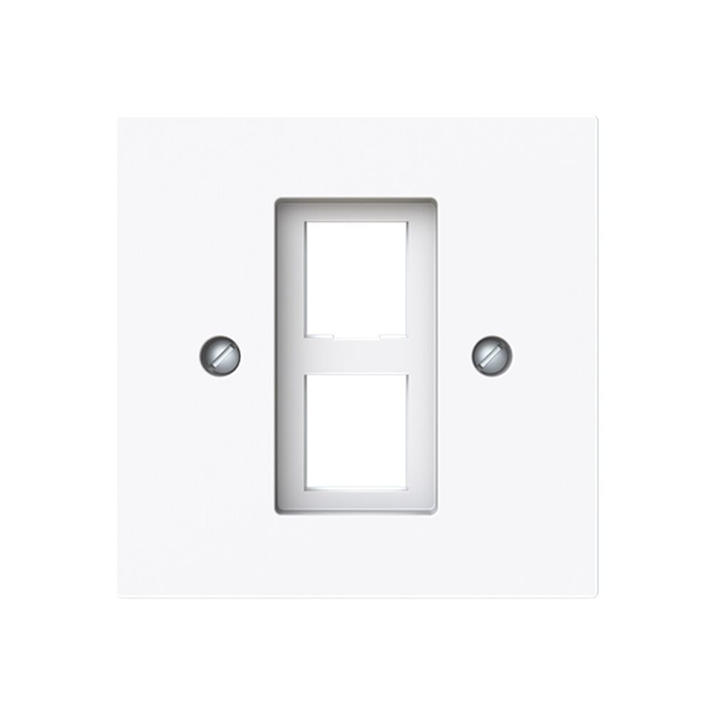 Busch-Jäger Zentralscheibe 2561-02-44G Nr. 2CKA001753A9926