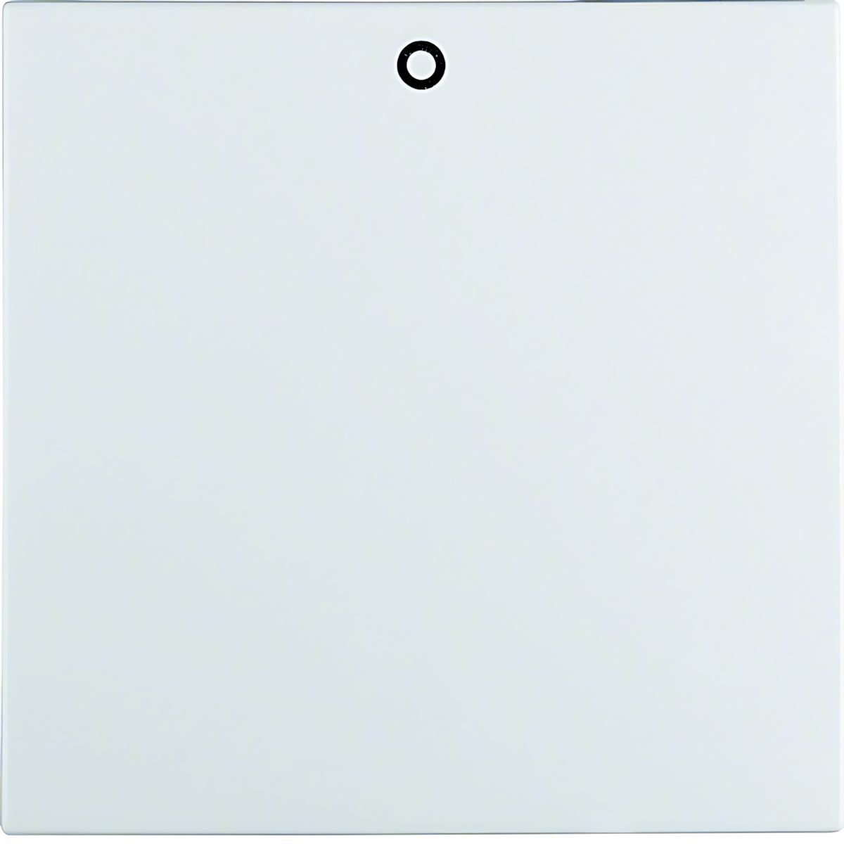 Berker Wippe 16291929