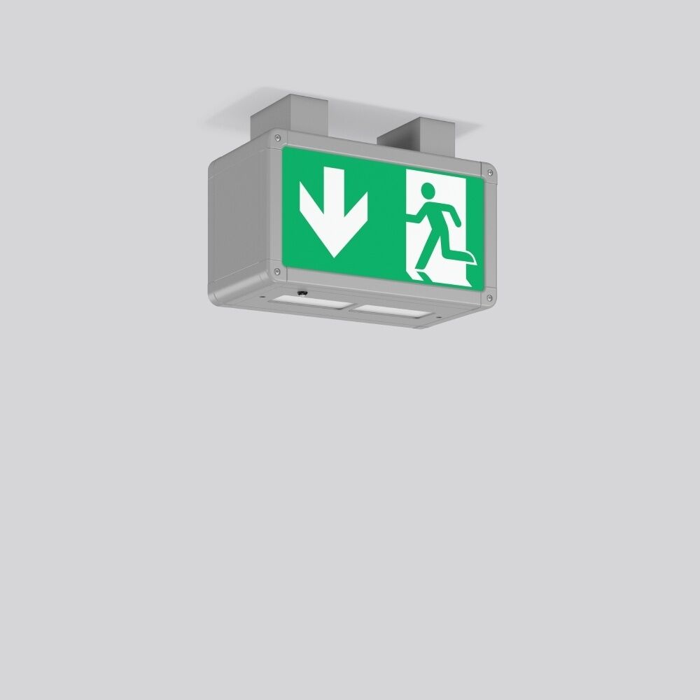 RZB Rettungswegeleuchte 671053.004.1.07