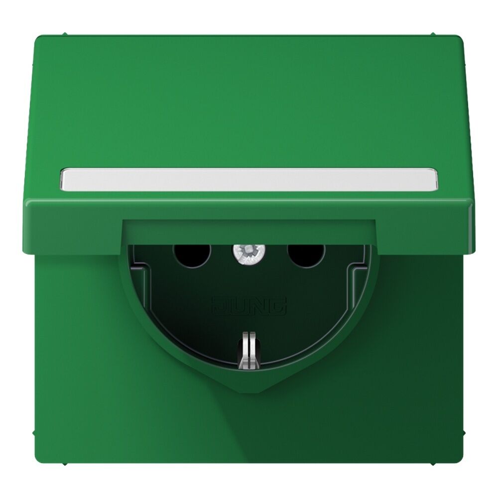 Jung Schutzkontakt Steckdose LS 1520 BFNAKL GN