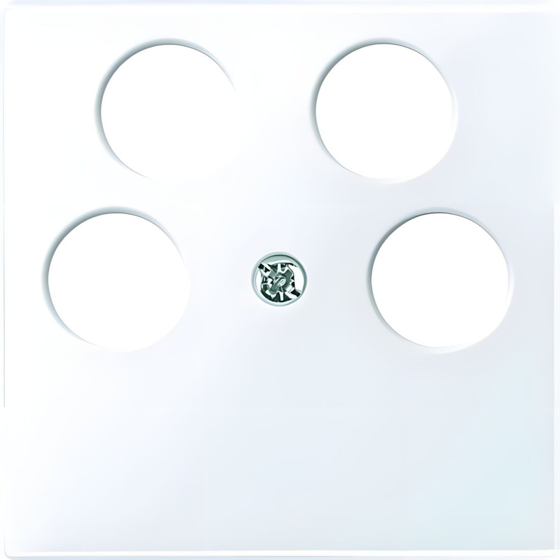 Merten Zentralplatte 296525