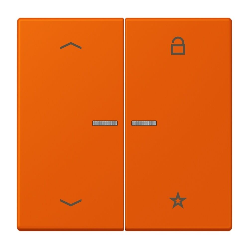 Jung Taster FMLC1701P260