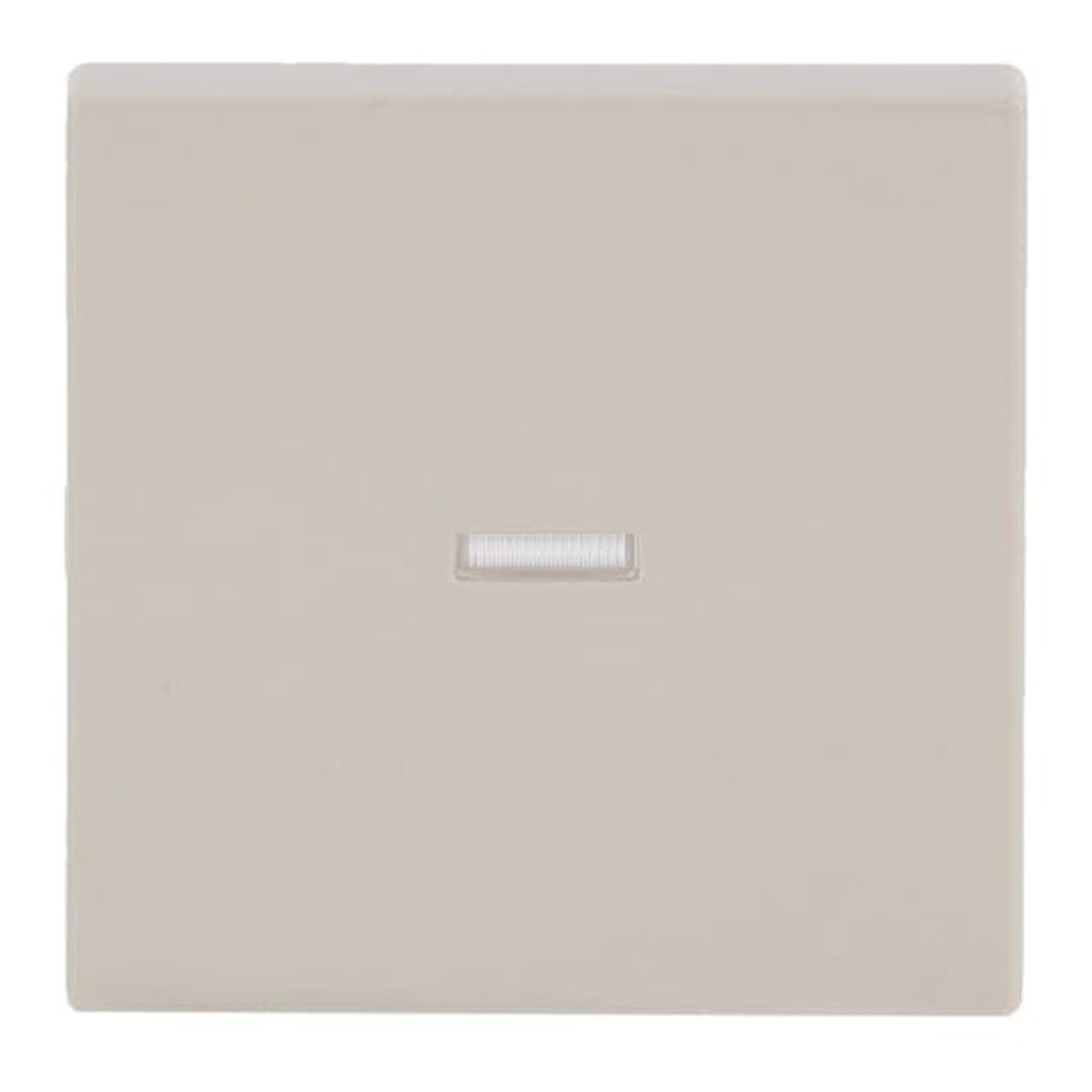 Busch-Jaeger Wippe 1789 N-82 Nr. 2CKA001751A3148