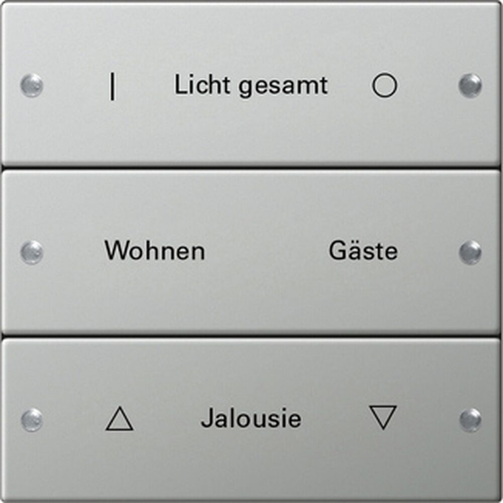 Gira Wippenset 2133602