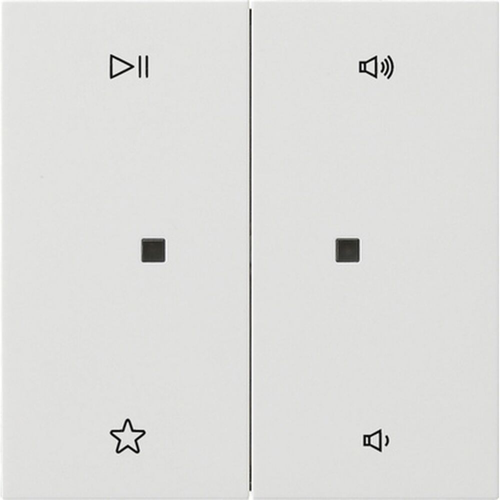 Gira Wippe 2fach 5384112