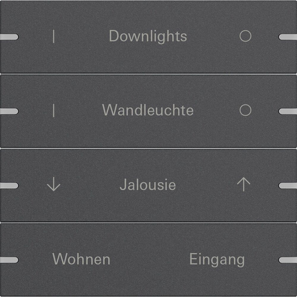 Gira Wippenset 4fach 5034928