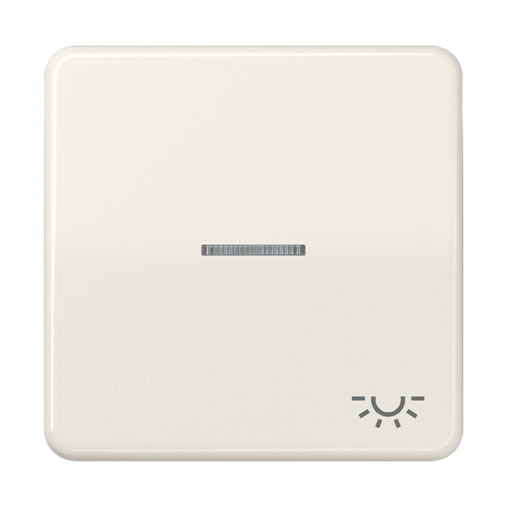 Jung Wippe CD 590 KO5L