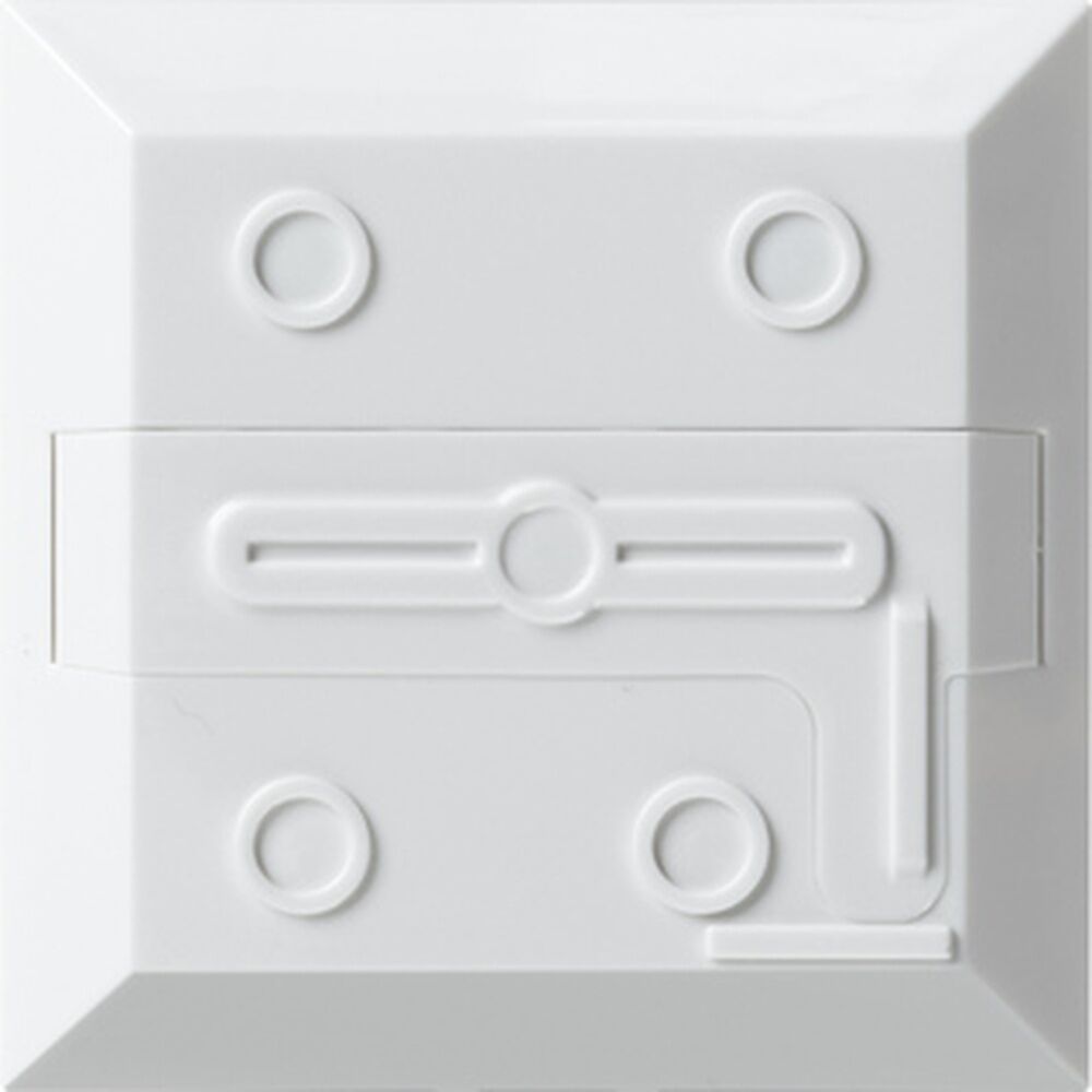 Gira Montageplatte 527300