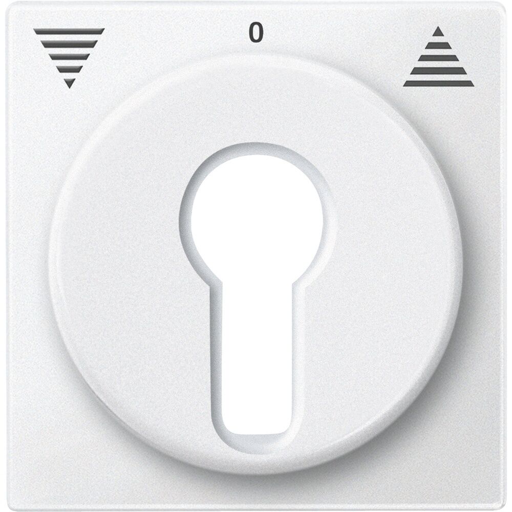 Merten Zentralplatte 319319