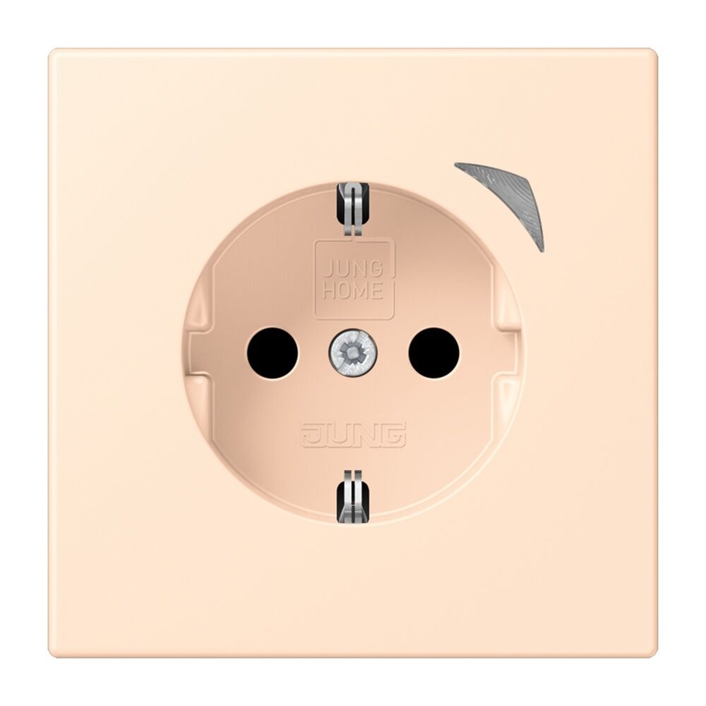 Jung JUNG HOME SCHUKO Steckdose BTLC1521S238 