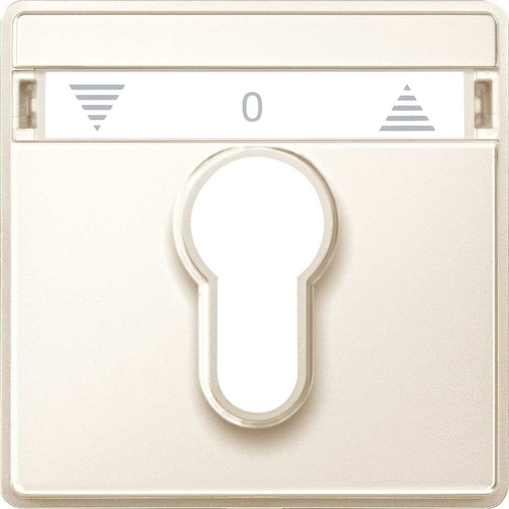 Merten Zentralplatte 348244