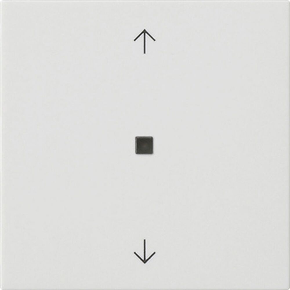 Gira Wippe 1fach 538827