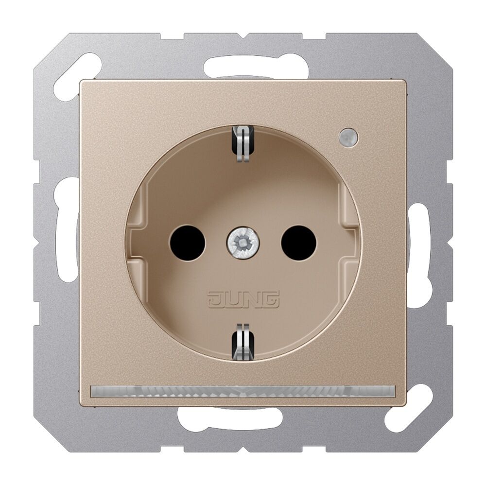 Jung SCHUKO Steckdose A1520-OCHLNW