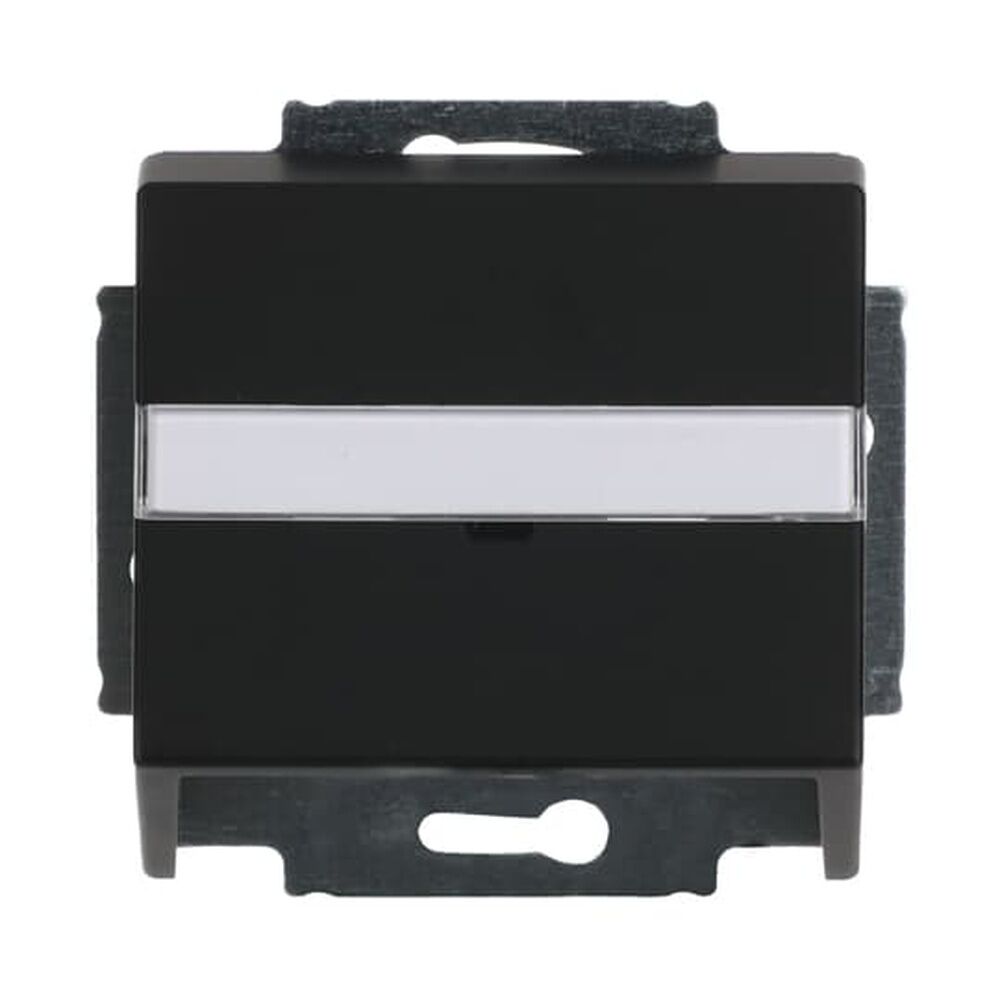 Busch-Jaeger Zentralscheibe 1758-885 Nr. 2CKA001724A4299 