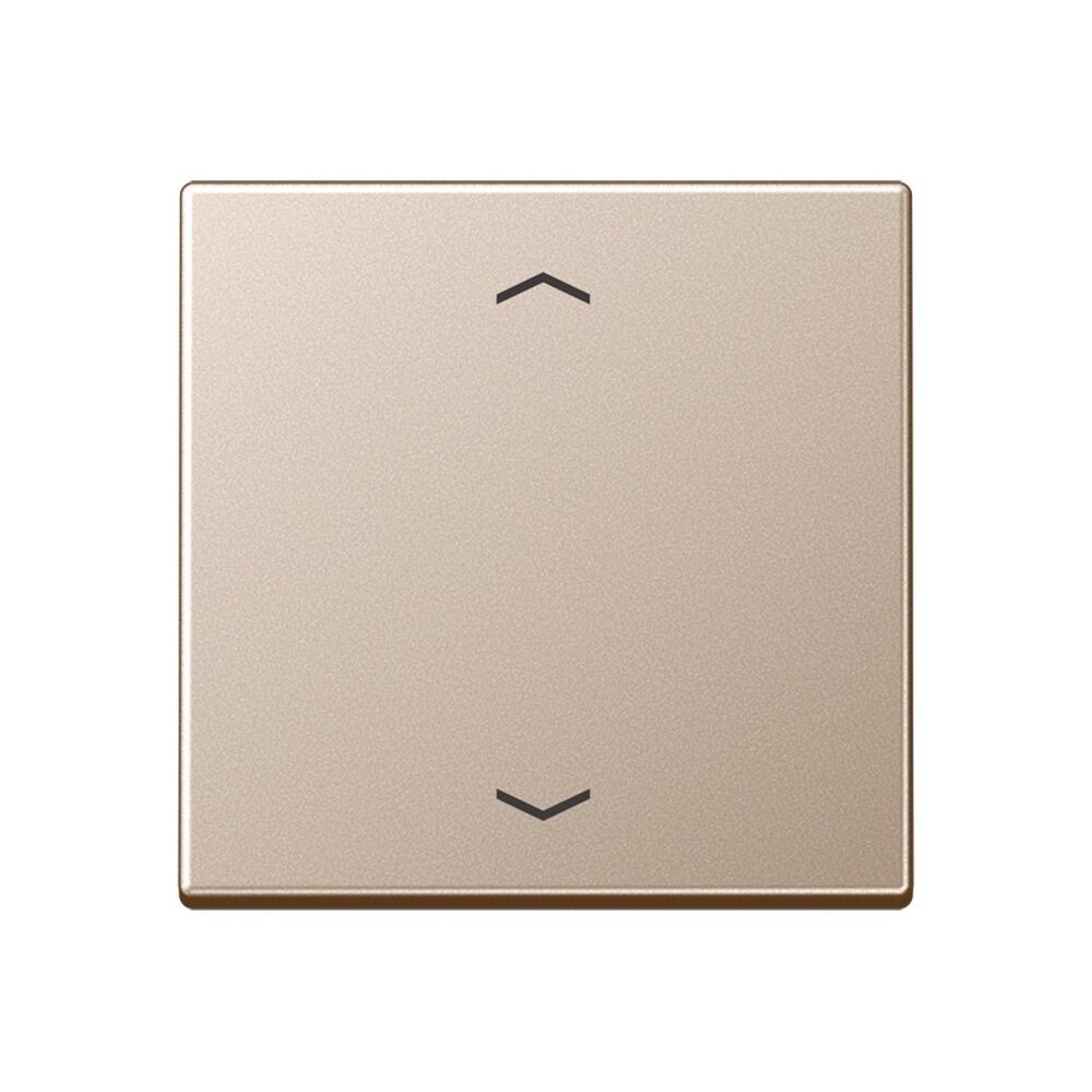 Jung Steuertaste A1700PCH