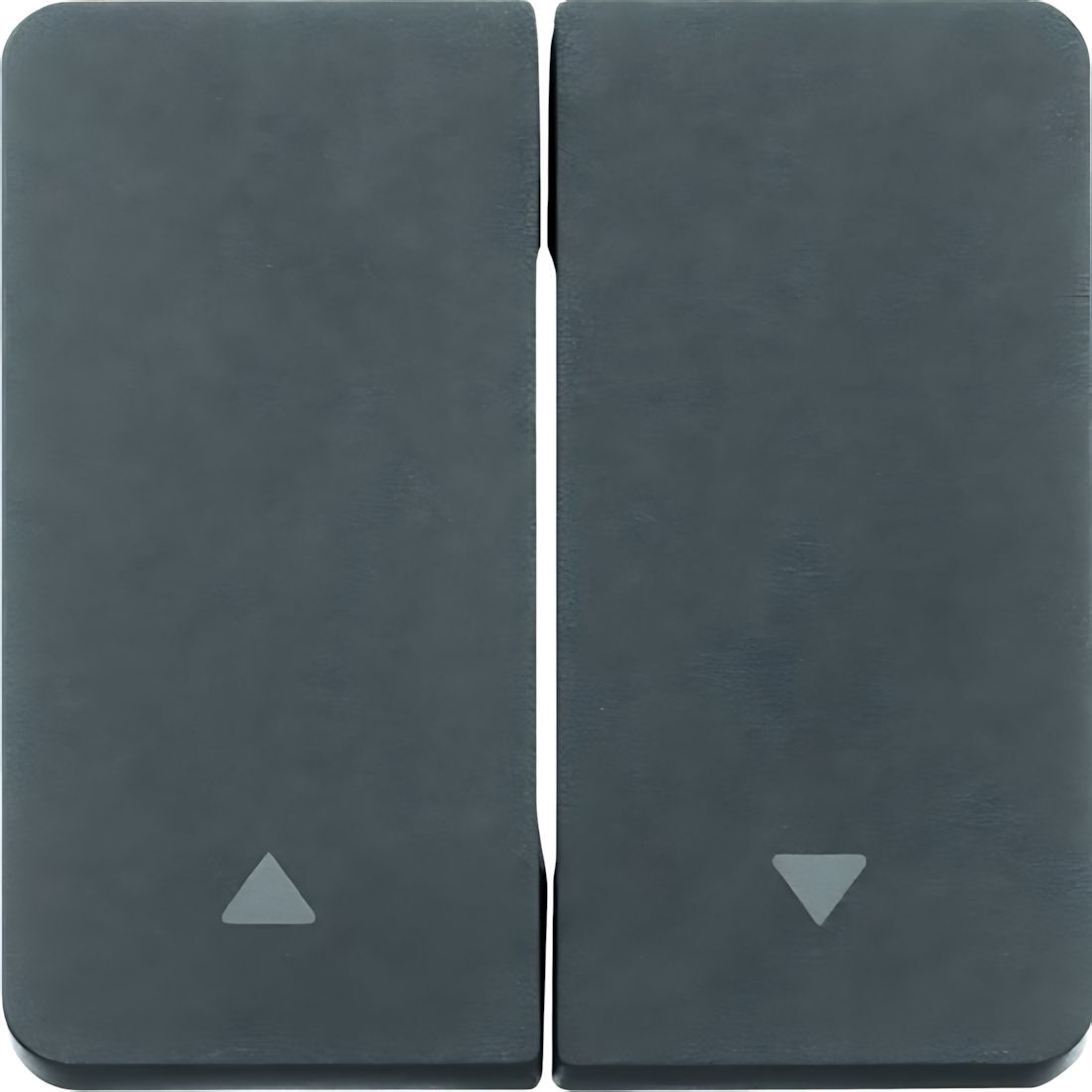 Berker Wippe 30753535